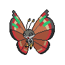 Archipelago Vivillon