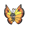 Continental Vivillon