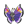 Elegant Vivillon