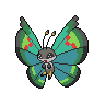 Garden Vivillon