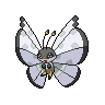 Icy Snow Vivillon