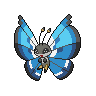 Marine Vivillon
