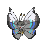 Monsoon Vivillon