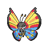 Ocean Vivillon