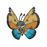 River Vivillon