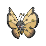 Sandstorm Vivillon