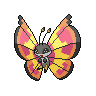Sun Vivillon